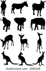 vector animals