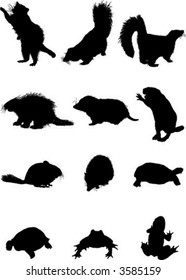 vector animals