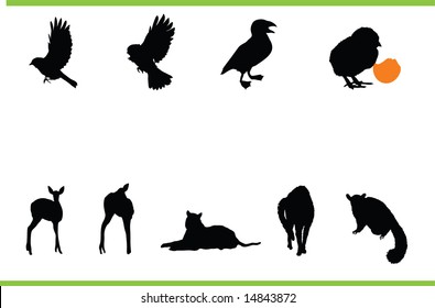 Vector animals collection