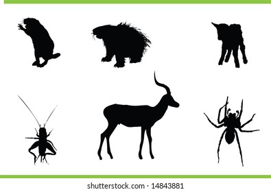 Vector animals collection