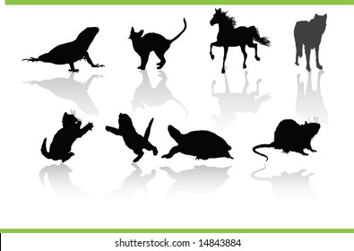 Vector animals collection