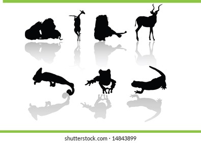 Vector animals collection