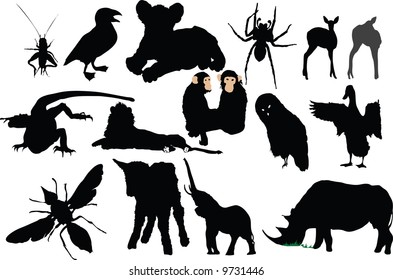 Vector animals collection