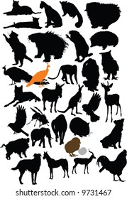 Vector animals collection