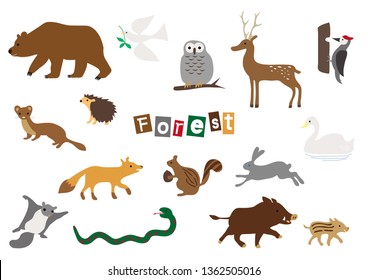 Vector Animals of forest. Many different animals, bear, pigeon, owl, deer, Woodpecker, hedgehog, weasel, fox, Squirrel, rabbit, swan, snake, flying squirrel, wild boar.