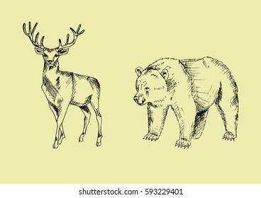 Vector animals illustration line art