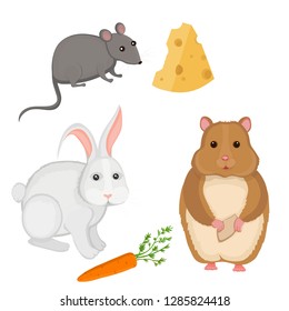 Vector animals isolated on a white background. Rabbit, hamster, mouse.
