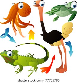 vector animals: octopus, ostrich, turtle, iguana