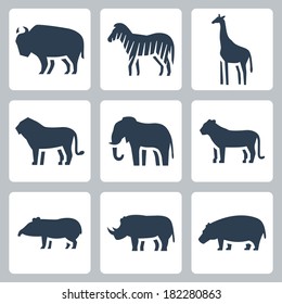 Vector animals of tropical zone icons set