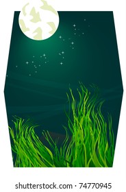 Vector animation at night with moon and moon shine