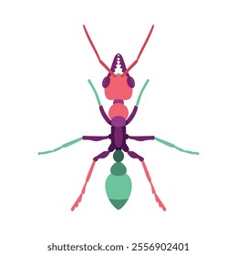 Vector Ant Bug Insect Cartoon Illustration Isolated