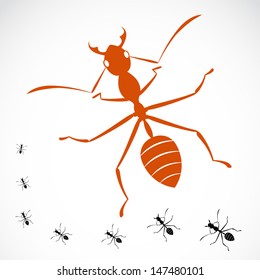 Vector of an ant design on white background. Insect. Animals. Easy editable layered vector illustration.