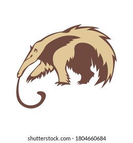 Vector anteater with a long tongue on a white background