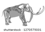 Vector antique engraving drawing illustration of mammoth skeleton isolated on white background