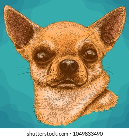 Vector antique engraving drawing illustration of chihuahua head  in retro style