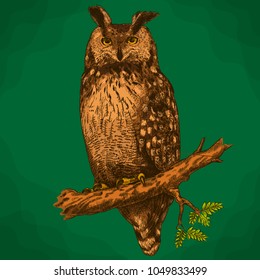Vector antique engraving drawing illustration of  eagle owl in retro style