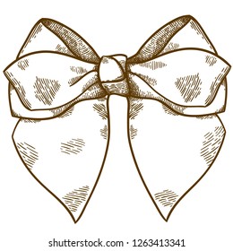 Vector antique engraving drawing illustration of bow isolated on white background