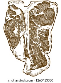Vector antique engraving drawing illustration of T-bone steak isolated on white background