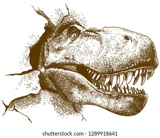 Vector antique engraving drawing illustration of tyrannosaurus T rex isolated on white background