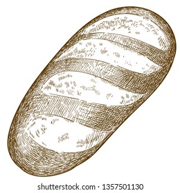 Vector antique engraving drawing illustration of bread isolated on white background