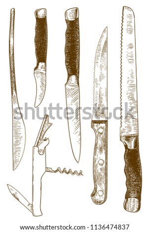Vector antique engraving drawing illustration of set of kitchen metal knives isolated on a white background