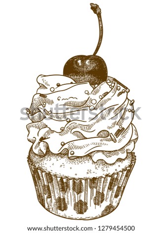 Vector antique engraving drawing illustration of delicious cupcake isolated on white background