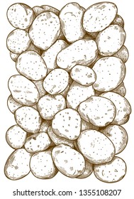 Vector antique engraving illustration of potatoes pattern isolated on white background