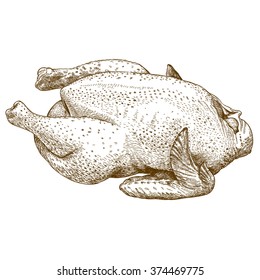 Vector antique engraving illustration of raw chicken isolated on white background