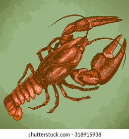 Vector antique engraving woodcut illustration of one crayfish in retro style