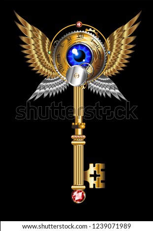 Vector antique golden key on a blac background. Vintage key.