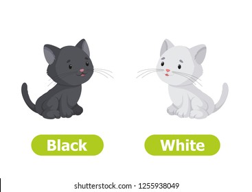 Vector antonyms and opposites. Black and White. Cartoon characters illustration on white background. Card for teaching aid, for a foreign language learning.