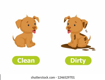 Vector antonyms and opposites. Cartoon characters illustration on white background. Card for children сan be used as a teaching aid for a foreign language learning. Clean and Dirty.