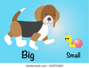 Small big com. Карточки big small. Big small opposites. Big or small карточки. Животные big and small карточки.