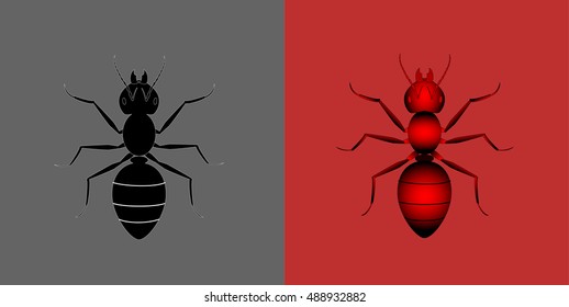 vector ants 3