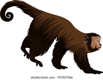 vector ape monkey capuchin