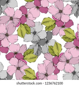 Vector. Appe blossom. Floral botanical flower. Wild spring leaf. Pink and green engraved ink art. Seamless background pattern. Fabric wallpaper print texture.