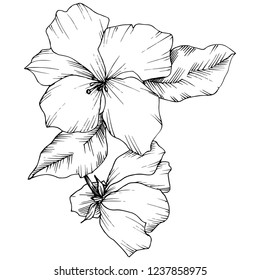Vektorgrafik. Apple Blumen. Schwarz-Weiß-Gravur, Farbenkunst. Wildes Frühlingsblatt. Einziger Apfelblütenblütenelement.