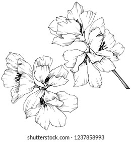 Flower Bouquet Scketch Black White Illustration Stock Illustration ...