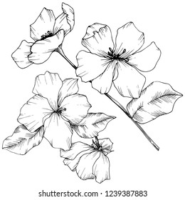 Vector Appe Blossom Flowers Black White Stock Vector (Royalty Free ...