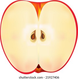 Vector apple.