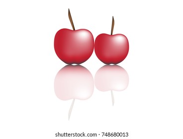 vector of apple
