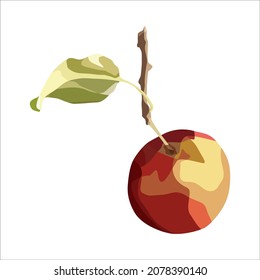 Vector apple. For autumn design restaurant menu desserts invitation cards