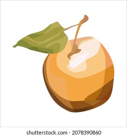 Vector apple. For autumn design restaurant menu desserts invitation cards