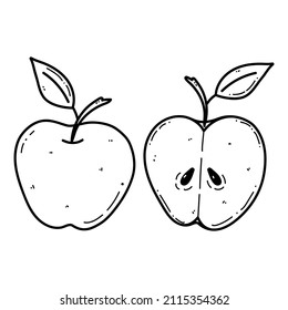 Vector apple doodle illustration. Fruit illustration for farm market menu. Healthy food design
