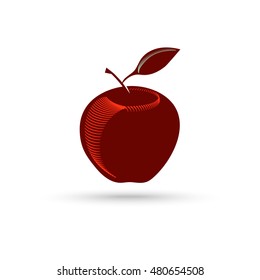 Vector Apple. Apple in engraving style. Vector illustration. Symbol apple dark silhouette isolated on white background.