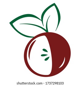 Apfel aus Vektor. Fruchtdarstellung für die Speisekarte des Agrarmarktes. Design für gesunde Lebensmittel