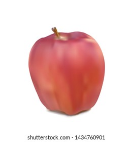 vector apple fruit on white background