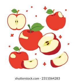 Vector apple fruits whole and half set collection