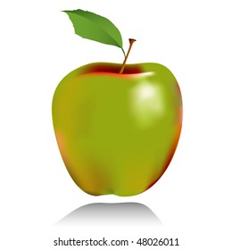 vector apple in green and red color