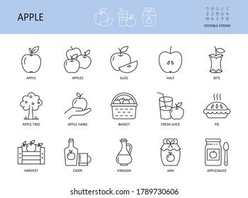 Vector apple icons. Set with Editable Stroke. Apples cider basket bottle, pie slice vinegar fresh juice. Jam half apple tree harvest applesauce bite